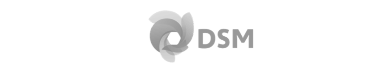 DSM logo 300x56